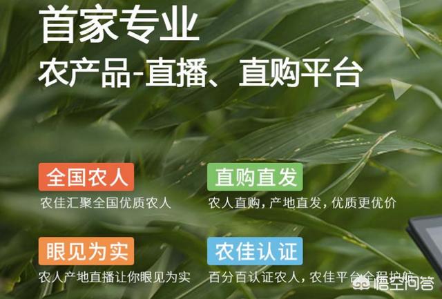 有没有帮农户卖产品的电商公司?都有哪些呢?