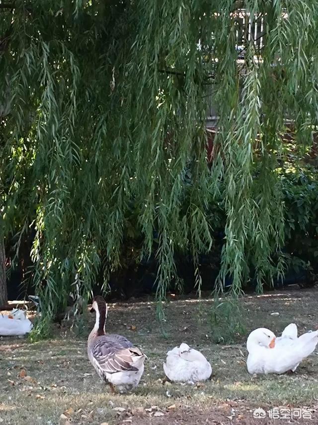 网上购买药品真的靠谱吗？为什么？