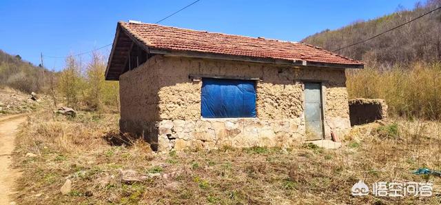 在农村开电商和三农自媒体培训前景如何?