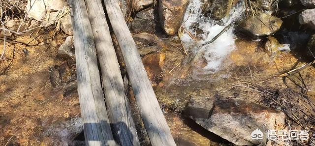 在农村开电商和三农自媒体培训前景如何?