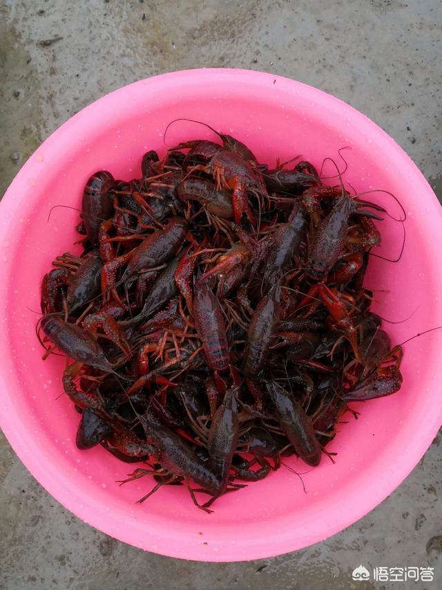 电子商务发展好吗？