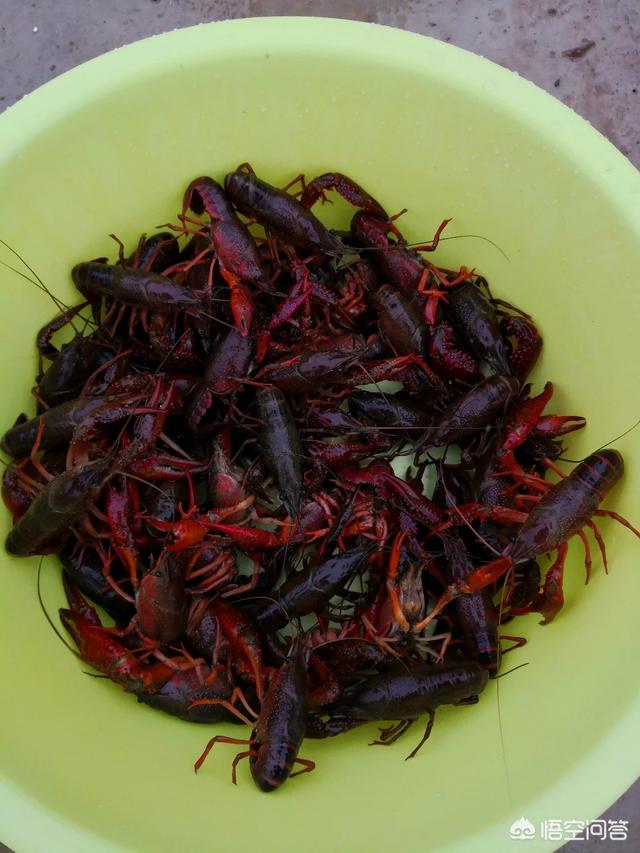 电子商务发展好吗？