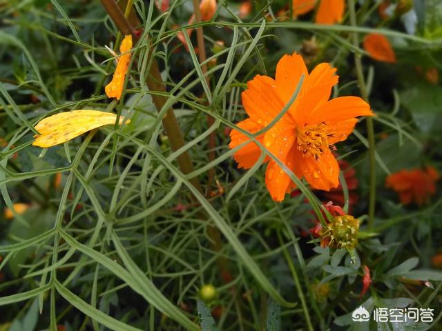 跨境电商是淘宝卖家的新出路吗？你怎么看？