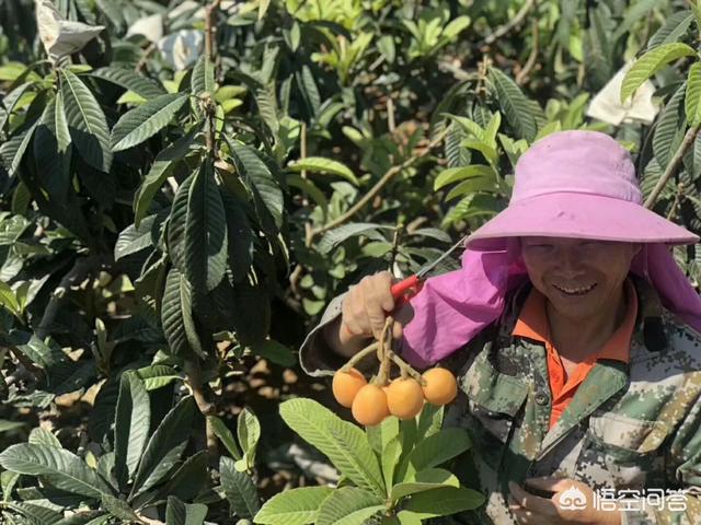 社区想做电商,有很好的平台推荐吗?