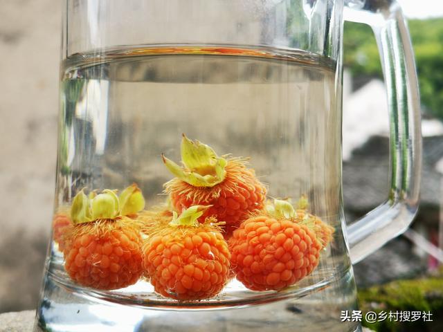 农村电商的现状和发展困难在哪里？