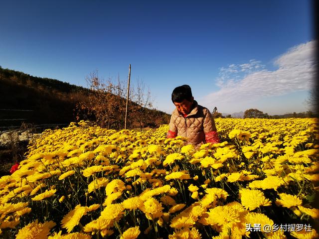 农村电商的现状和发展困难在哪里？