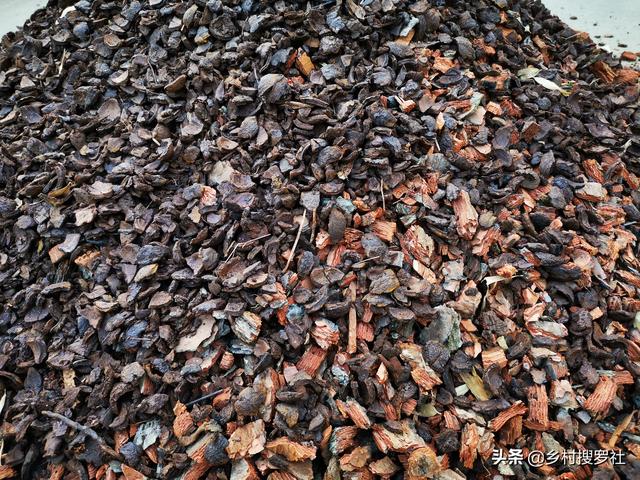 农村电商的现状和发展困难在哪里？