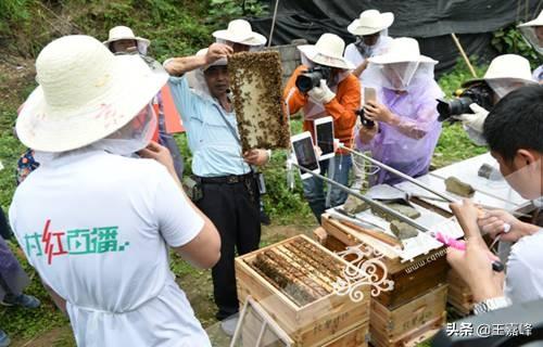 直播电商应该怎么做,发展趋势怎么样?