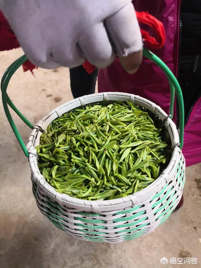 电子商务以后可以做什么工作？