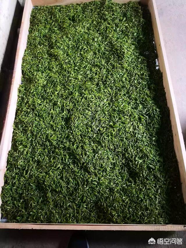 电子商务以后可以做什么工作？