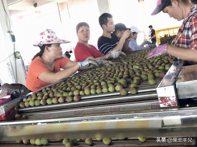 怎样把我的农产品推荐到电商那里分销？