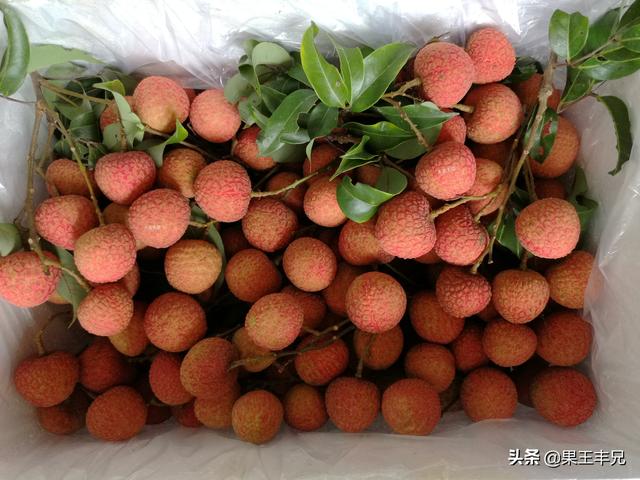 怎样把我的农产品推荐到电商那里分销？