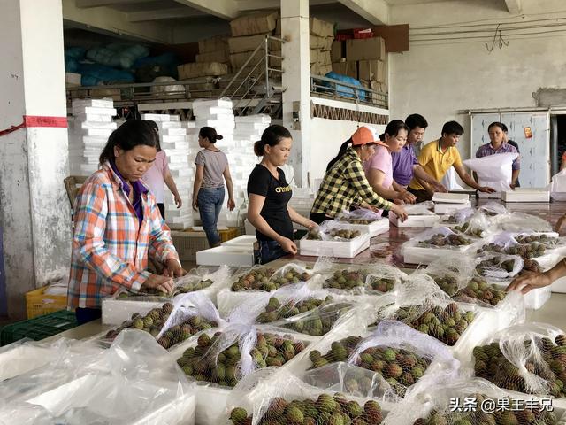 怎样把我的农产品推荐到电商那里分销？