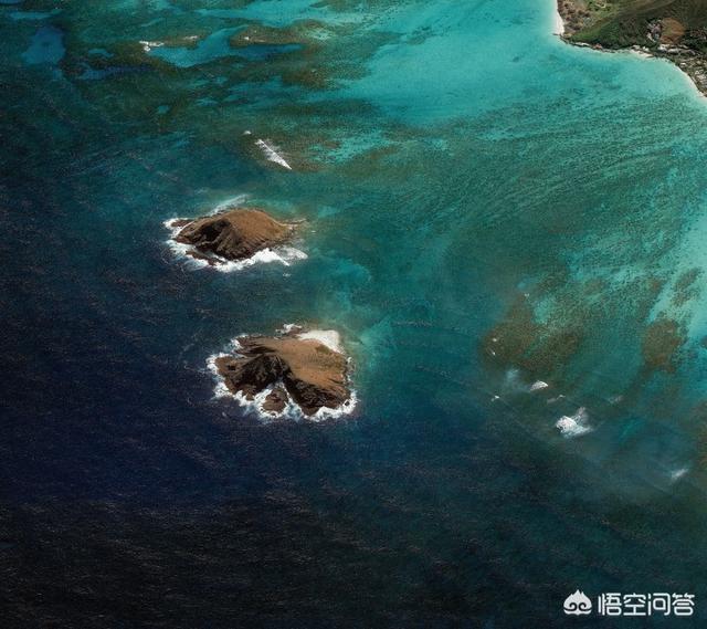 O2O的分销电商平台为什么很难做起来?