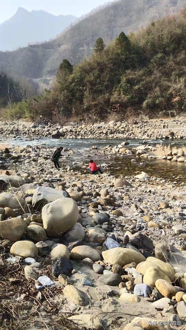 有没有专门销售农产品的网络平台啊?做的如何呀？