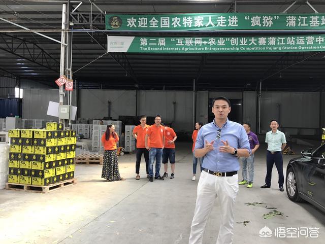 对于短视频、直播电商和社交电商的风口，你怎样看？