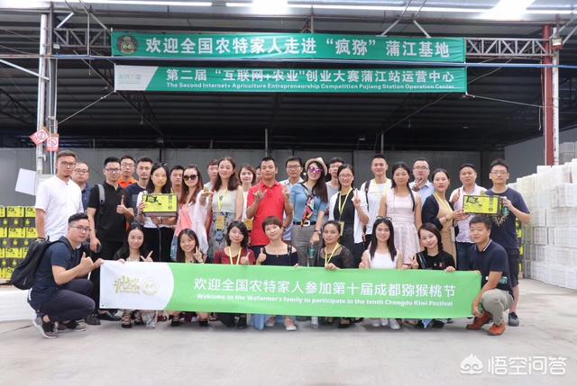 对于短视频、直播电商和社交电商的风口，你怎样看？