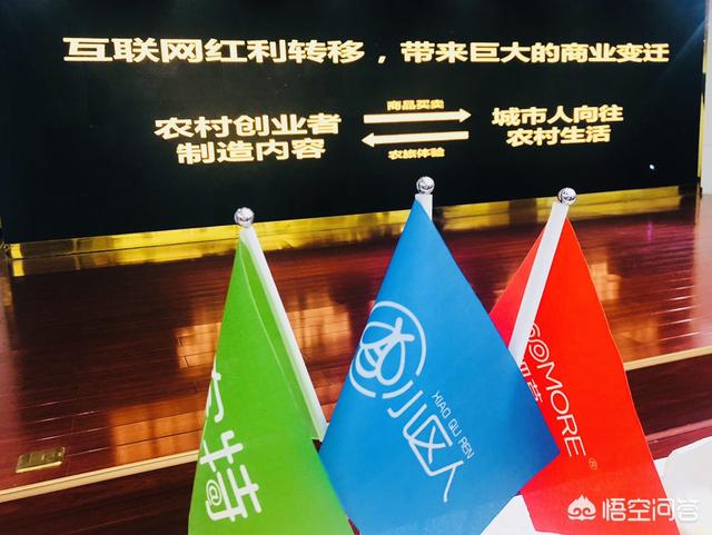 对于短视频、直播电商和社交电商的风口，你怎样看？