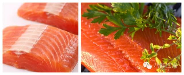 淡水三文鱼和海水三文鱼怎么辨别？