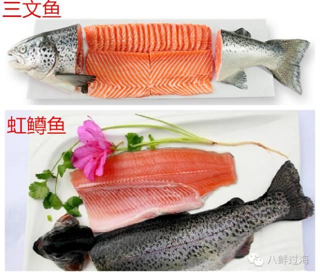 淡水三文鱼和海水三文鱼怎么辨别？