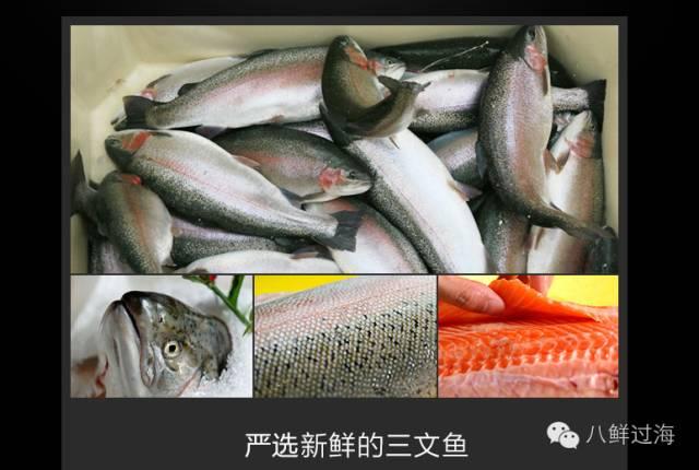 淡水三文鱼和海水三文鱼怎么辨别？