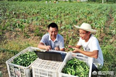 有人说农产品更适合通过直播电商销售，是这样吗？如果是，原因是什么？
