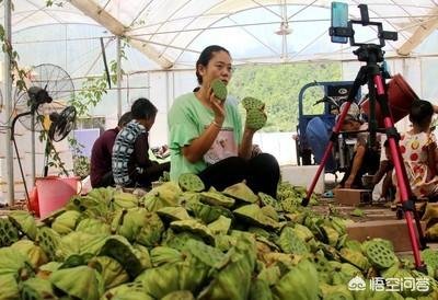 有人说农产品更适合通过直播电商销售，是这样吗？如果是，原因是什么？