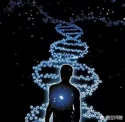 人工智能五行属性是什么？