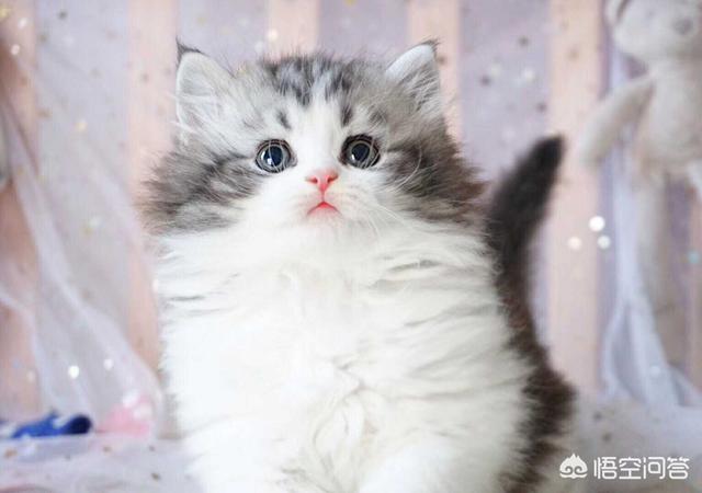 做电商是不是已经过了风口?未来如果想创业做电商还有前景吗?