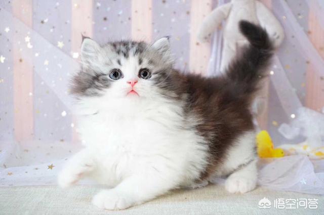 做电商是不是已经过了风口?未来如果想创业做电商还有前景吗?