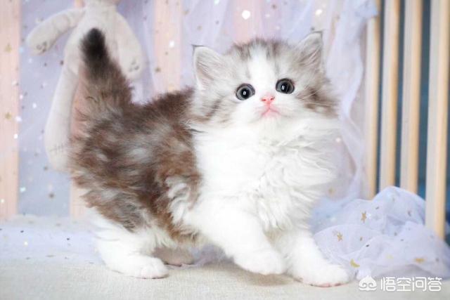 做电商是不是已经过了风口?未来如果想创业做电商还有前景吗?