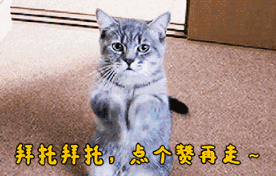 JDG击败SN赢得“电商大战”，米勒眼中的联盟4强，如今难进季后赛，SN出了什么问题？