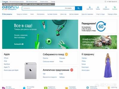 俄罗斯有哪些电商网站?