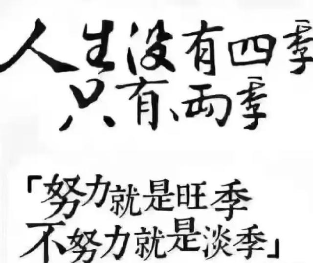 个人做跨境电商需要多少资金?哪个平台比较好做?