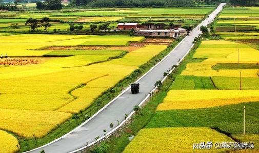 农村电商发展趋势前景如何?