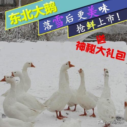 农村电商发展趋势前景如何?