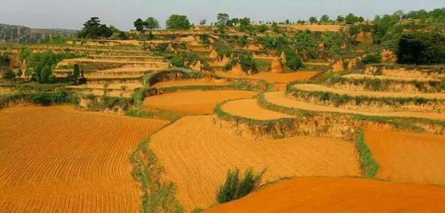 农村土特产电商扶贫是否效果明显？