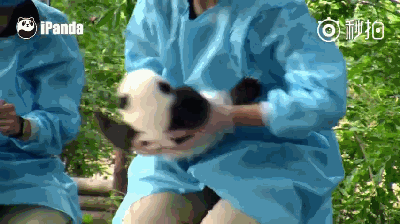 电商行业是去代运营公司好，还是去企业电商部门好？