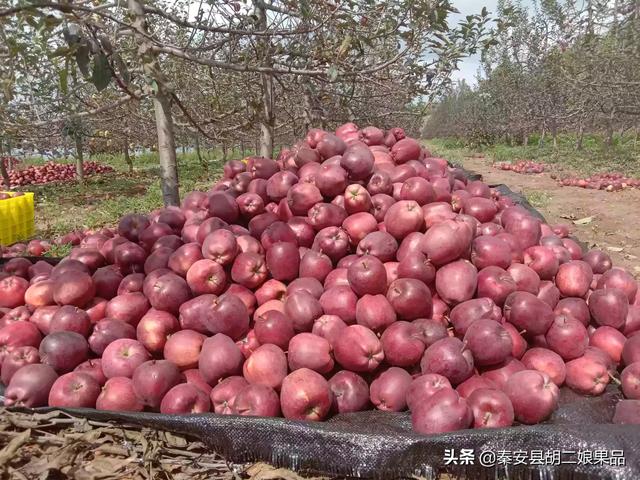 农村电商如何发展,普通人从哪里入手?