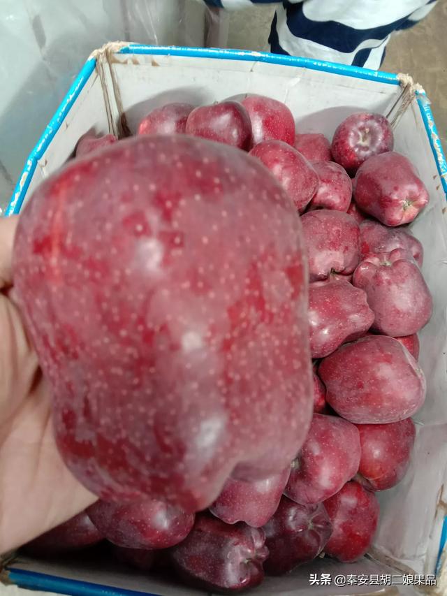 农村电商如何发展,普通人从哪里入手?