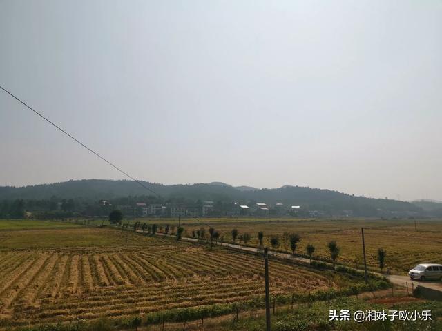 在农村用哪个平台网购比较好呢?