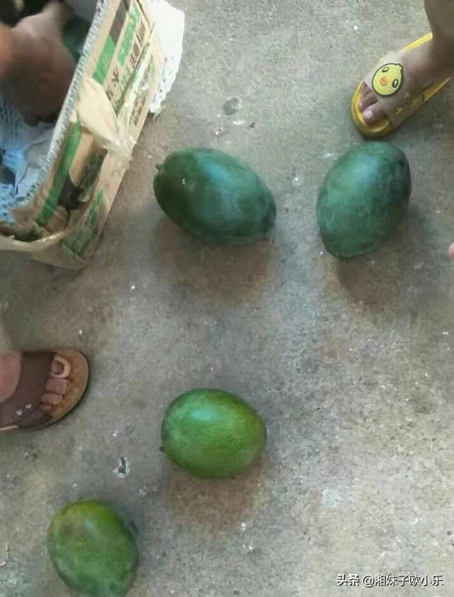 在农村用哪个平台网购比较好呢?