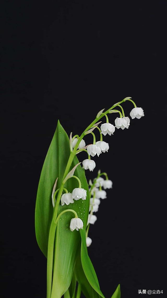 为什么马云已经卸任了，还能代表阿里巴巴？