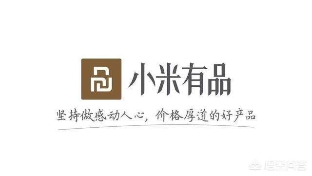 当前背景下，小米有品做社交电商能成功吗？