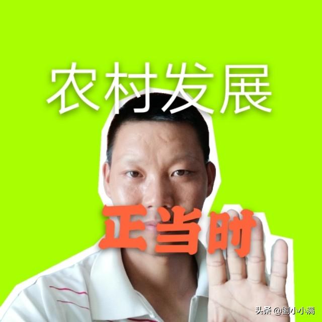 农村做电商的朋友你们现在做的怎么样？