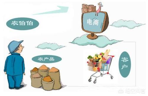 现在回农村老家做电商，该做些什么？如何起步？