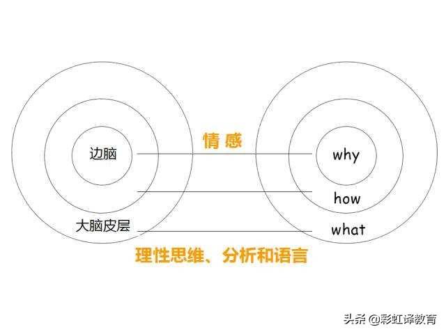 商业策划书怎么写？