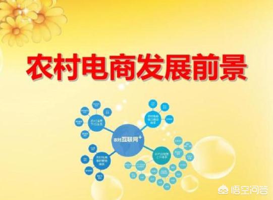 农村发展电商的最大困境是什么?