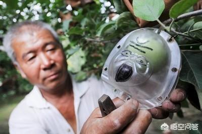 农村电商怎么结合扶农政策发展？