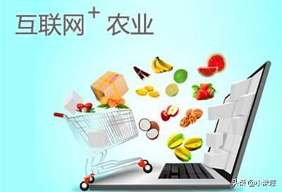 什么是新农业电商?你如何理解的?